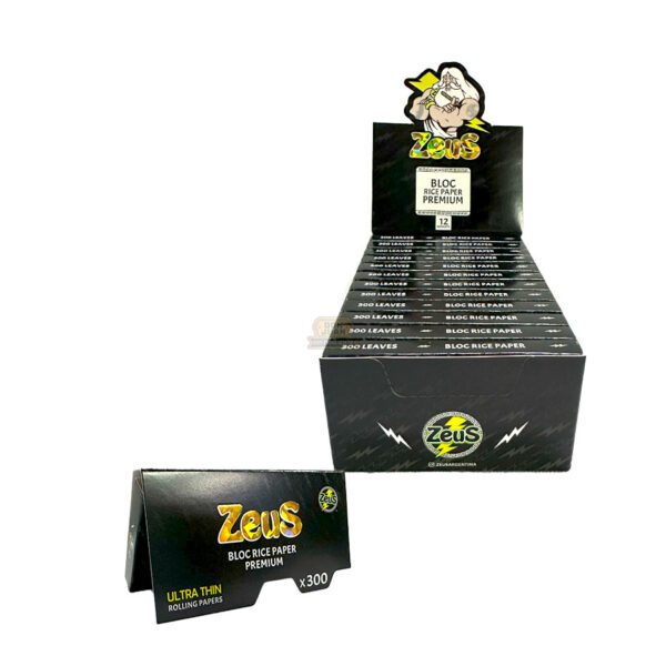 Papel Zeus Regular Bloc 300 Hojas